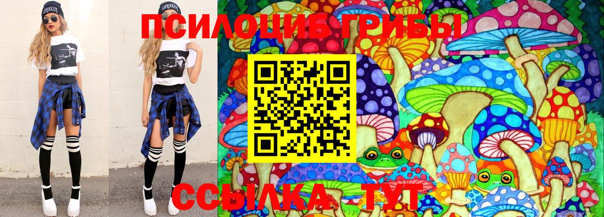 Галлюциногенные грибы Psilocybine cubensis Электросталь